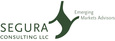 SEGURA Consulting LLC Logo