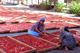 Usaid-food-security_450x300_thumb
