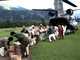 Humanitarian-assistance-pakistan_400x300_thumb