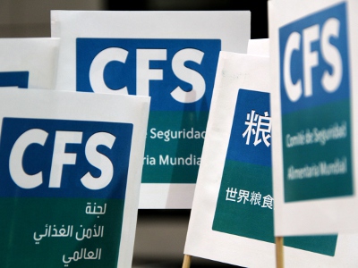 CFS flags