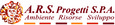 ARS Progetti Logo