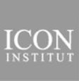 ICON-INSTITUTE GmbH & Co. KG Consulting Gruppe Logo