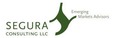 SEGURA Consulting LLC Logo