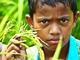 Child in Bangladesh
