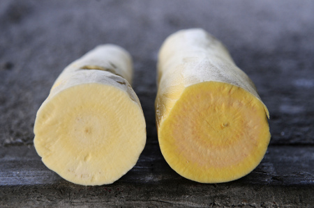 Cassava roots