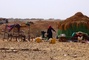 Yemen_447x300_thumb_89