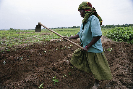 Wb-agriculture